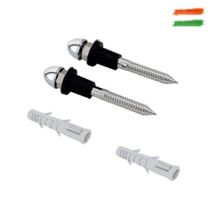 Wall Hung Rag Bolt-SS-202-Brass Cap